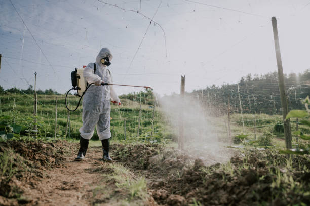 Pest Control Cost in Enola, PA
