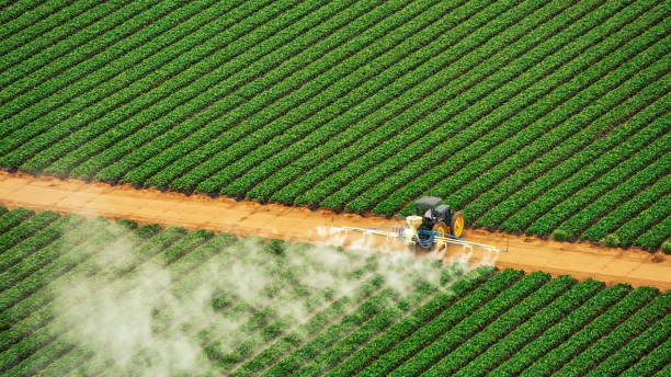 Best Commercial Pest Control Services  in Enola, PA