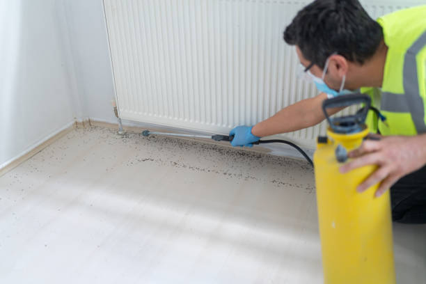 Best Affordable Pest Control Services  in Enola, PA