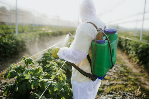 Best Exterminator Services  in Enola, PA